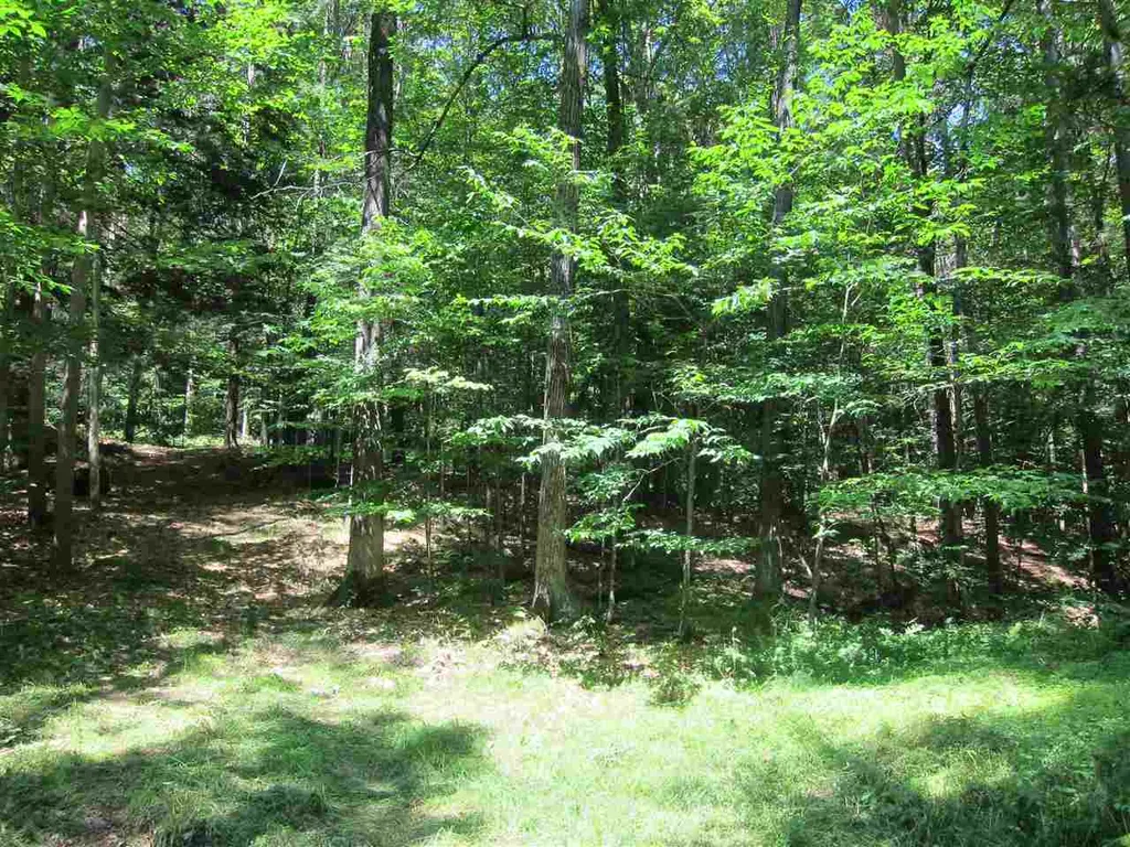 0 Rose Hill Road Woodstock VT 05091