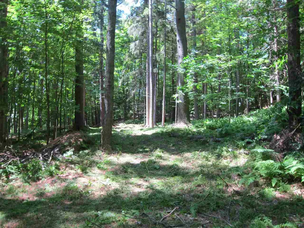 0 Rose Hill Road Woodstock VT 05091