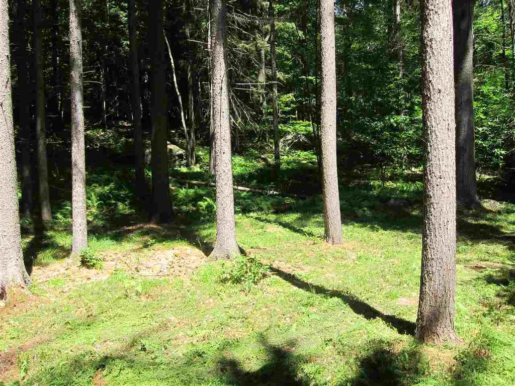 0 Rose Hill Road Woodstock VT 05091