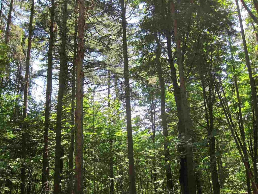 0 Rose Hill Road Woodstock VT 05091