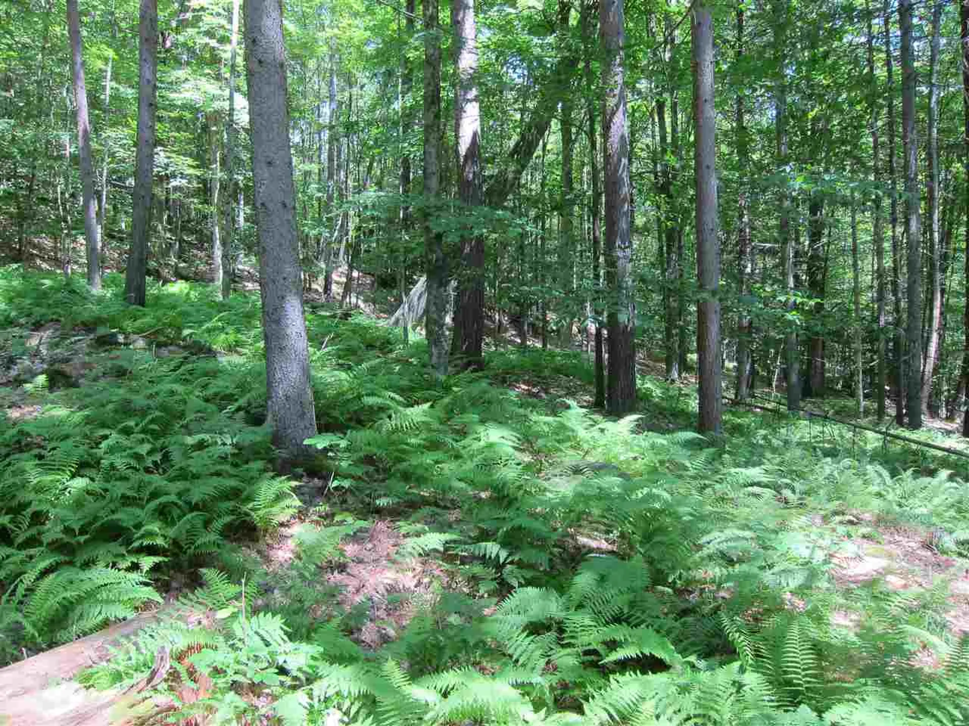 0 Rose Hill Road Woodstock VT 05091