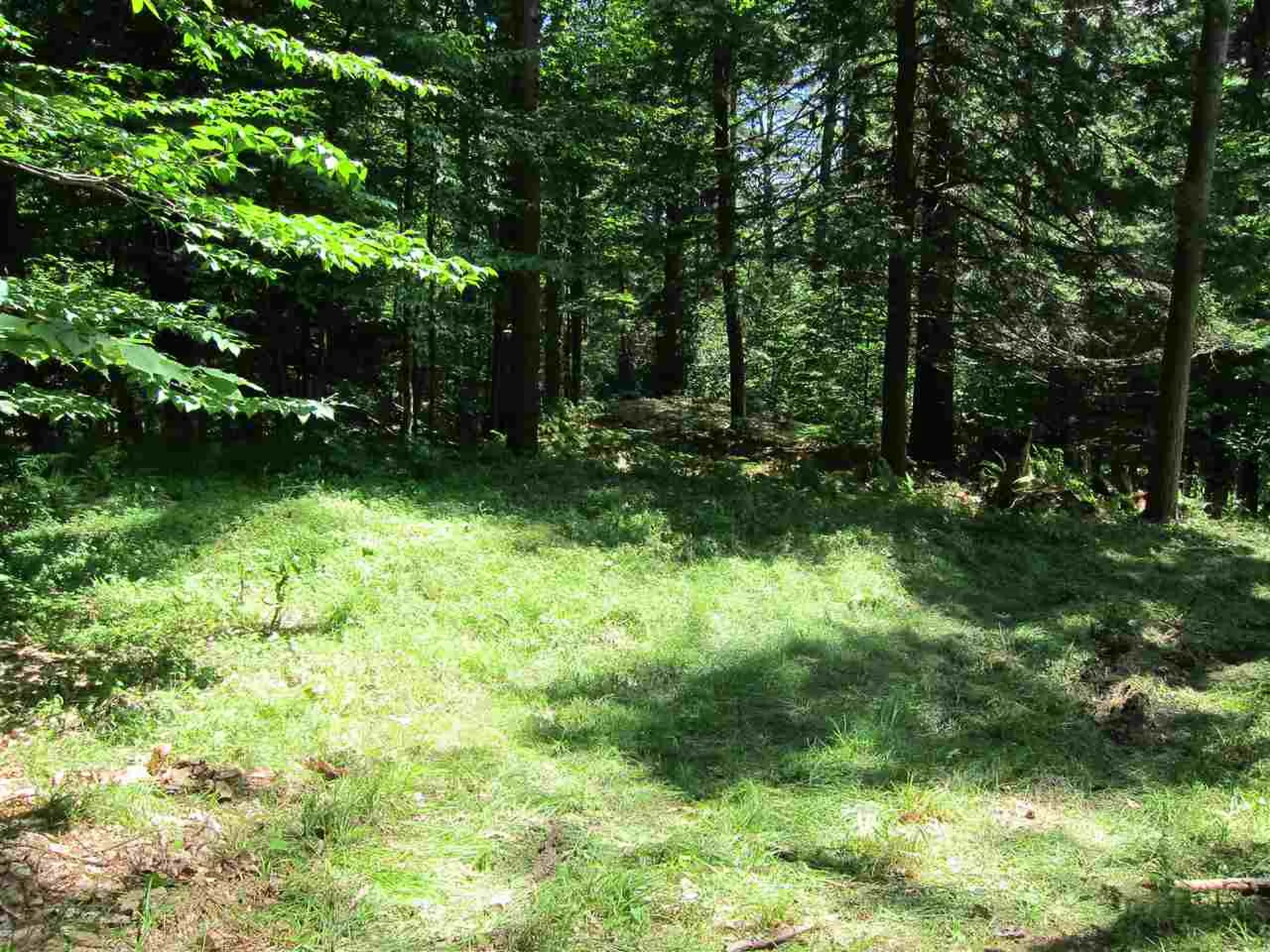 0 Rose Hill Road Woodstock VT 05091