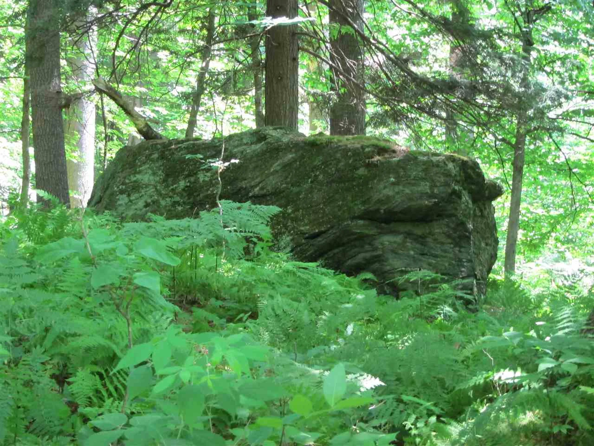 0 Rose Hill Road Woodstock VT 05091