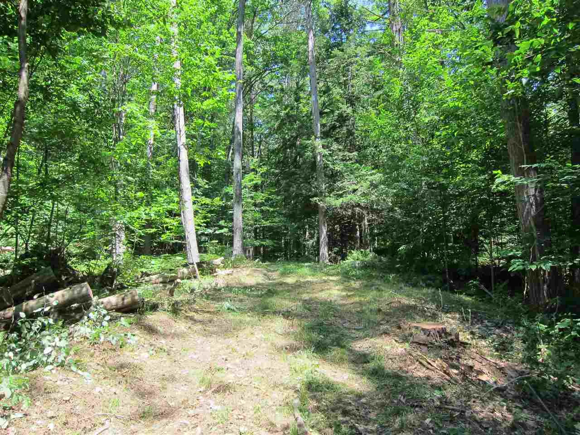 0 Rose Hill Road Woodstock VT 05091