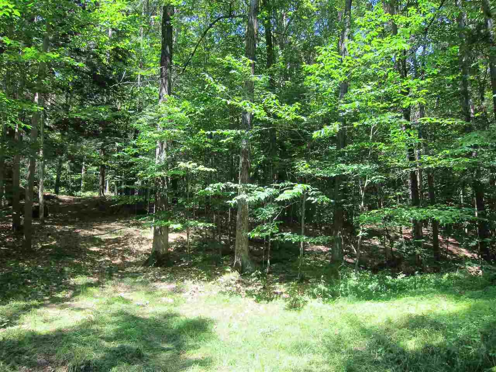 0 Rose Hill Road Woodstock VT 05091