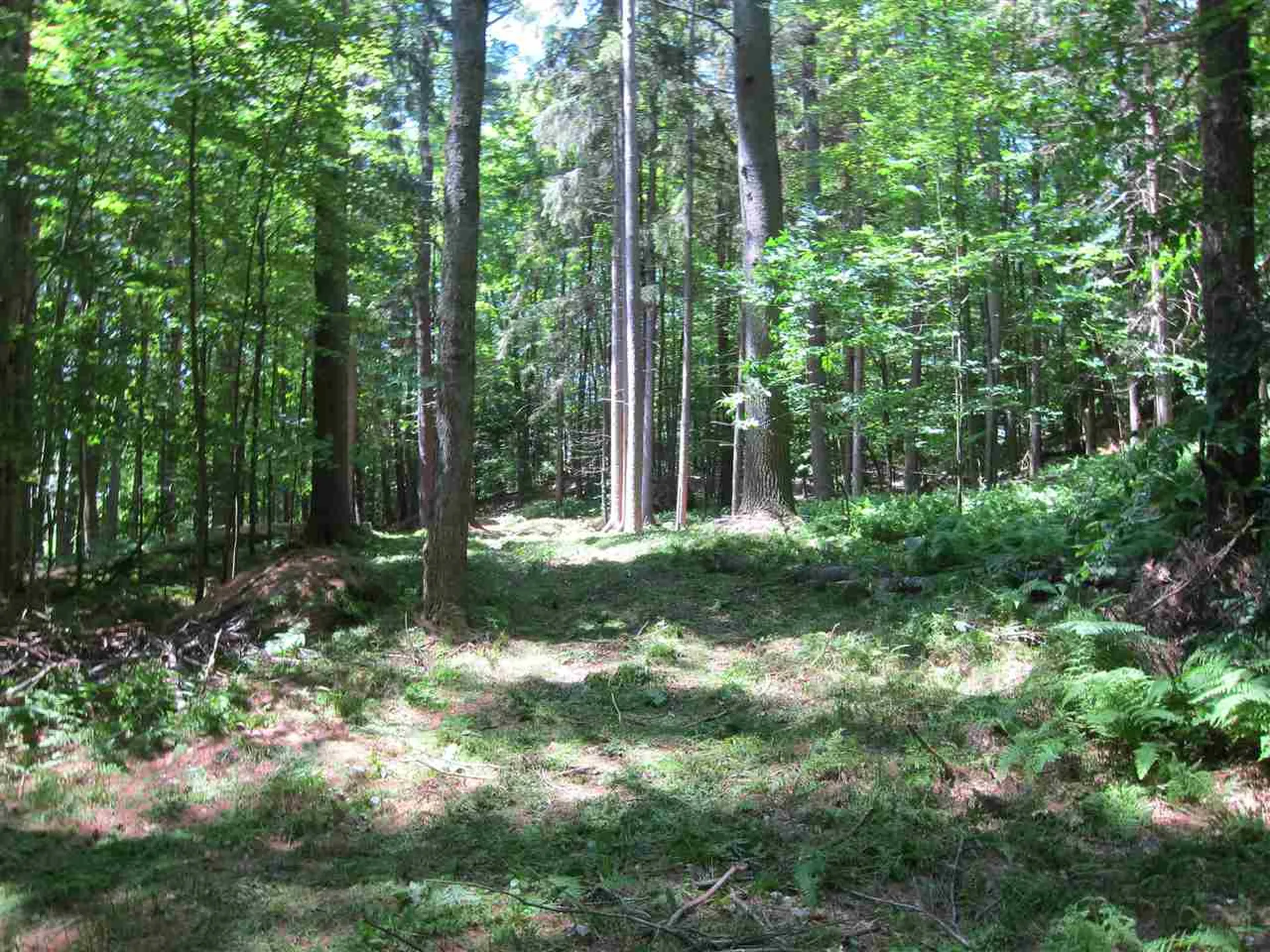 0 Rose Hill Road Woodstock VT 05091