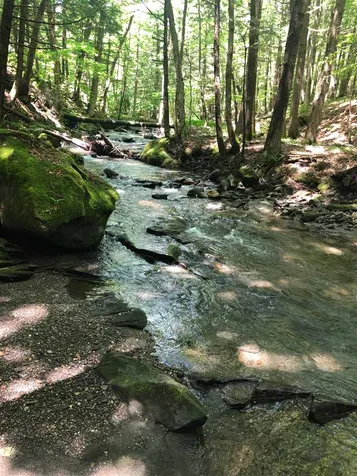 2026 Faybrook Road Sharon VT 05065