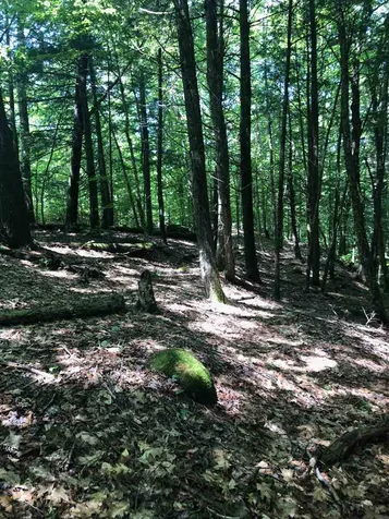 2026 Faybrook Road Sharon VT 05065
