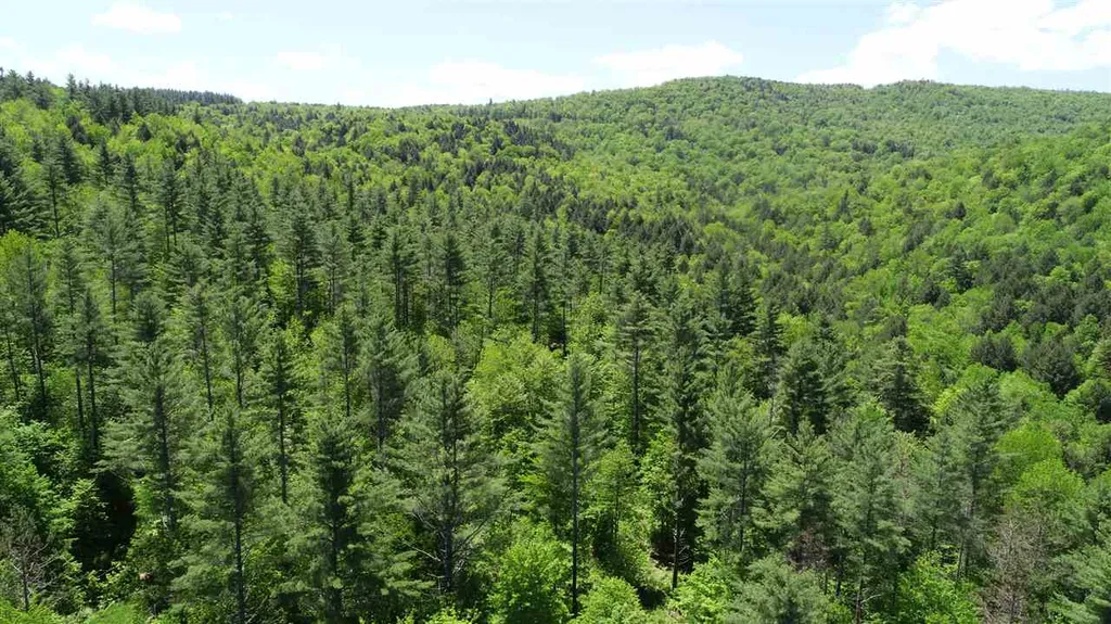 0 River Road Moretown VT 05660