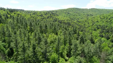 0 River Road Moretown VT 05660