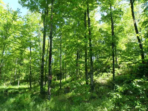 0 River Road Moretown VT 05660
