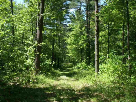 0 River Road Moretown VT 05660