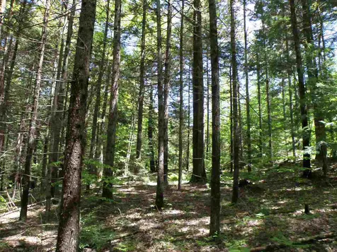 0 River Road Moretown VT 05660