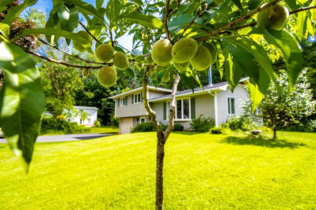 46 Jefferson Avenue Northfield VT 05663
