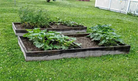 10 Hillcrest Terrace Waterbury VT 05676