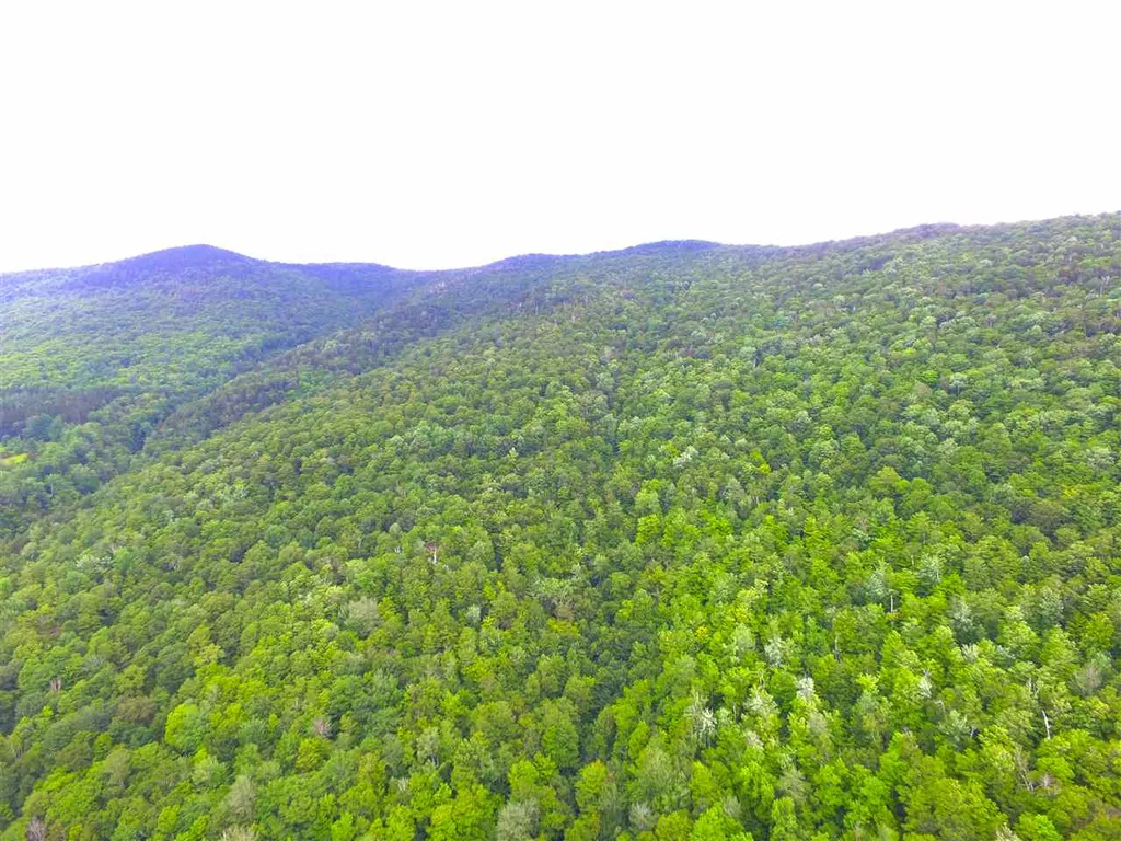 1231 River Road Killington VT 05751