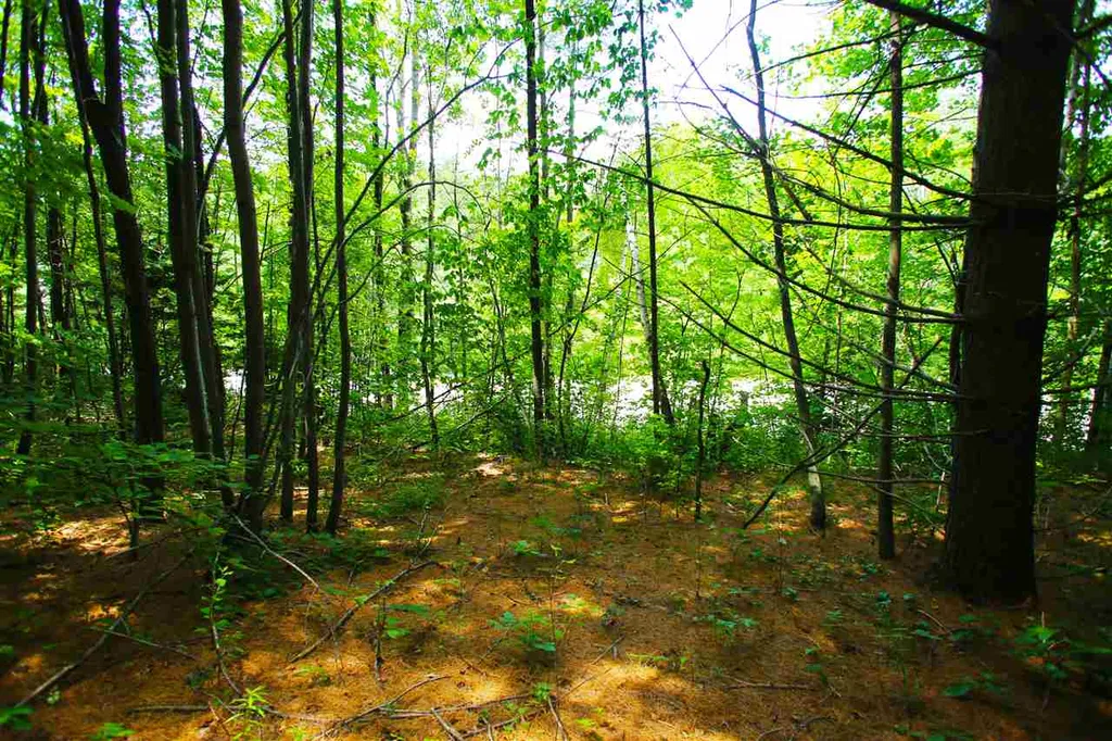 1231 River Road Killington VT 05751