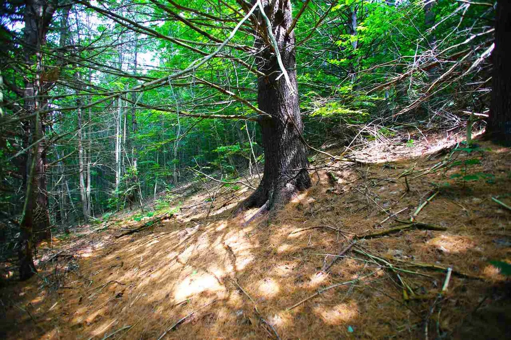 1231 River Road Killington VT 05751