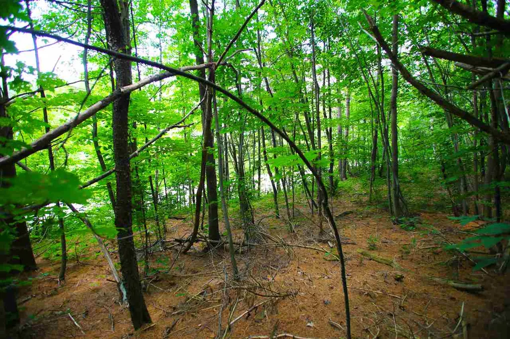 1231 River Road Killington VT 05751