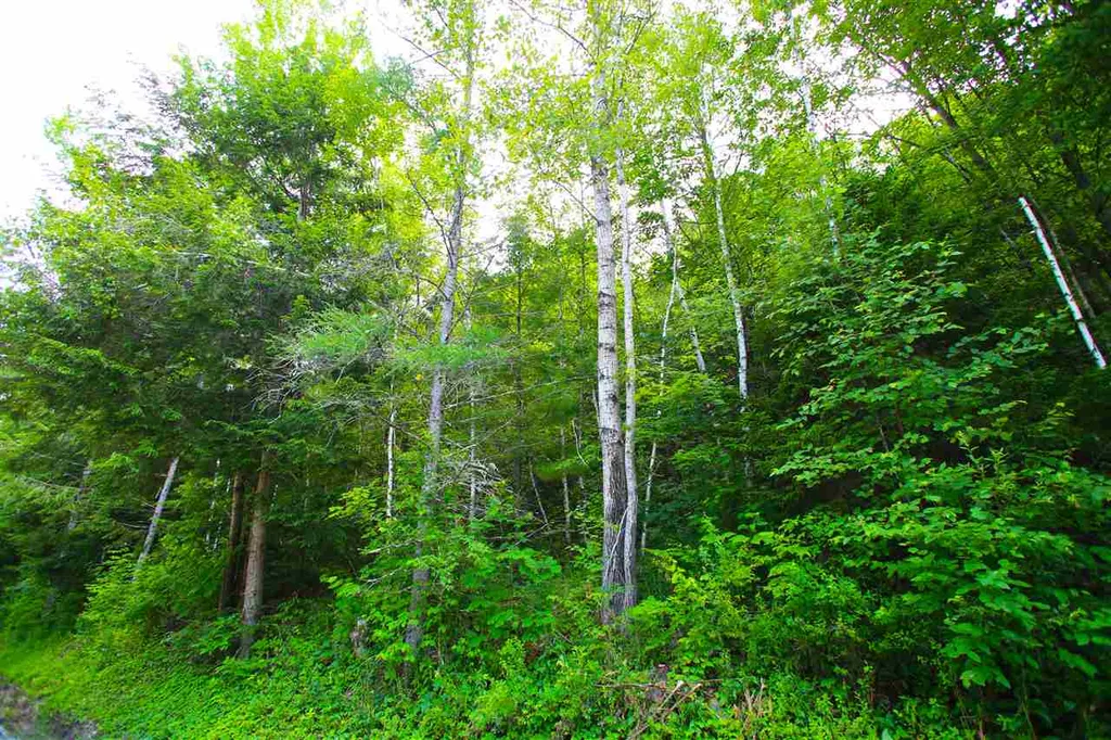 1231 River Road Killington VT 05751