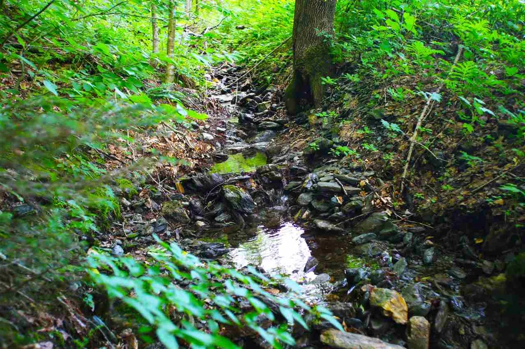 1231 River Road Killington VT 05751