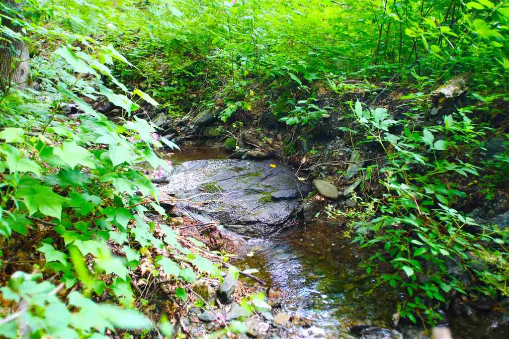 1231 River Road Killington VT 05751
