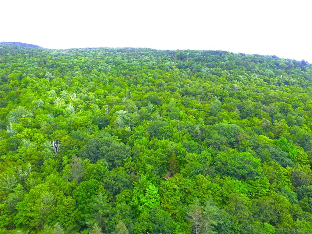 1231 River Road Killington VT 05751
