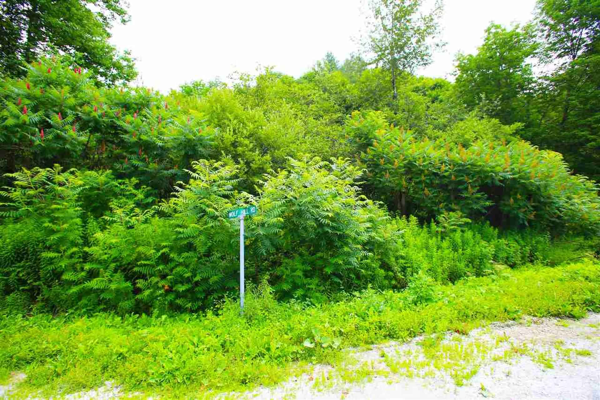 1231 River Road Killington VT 05751