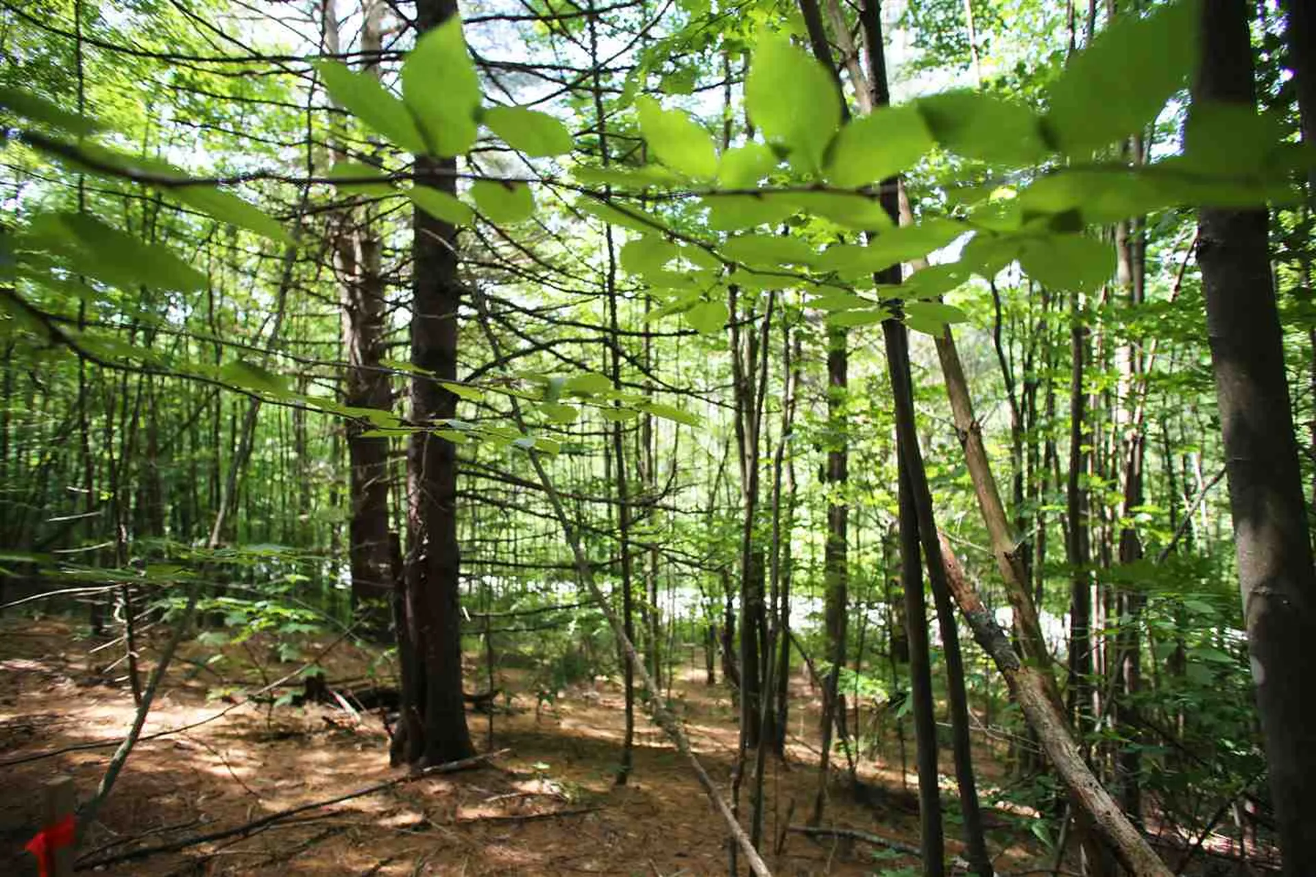 1231 River Road Killington VT 05751