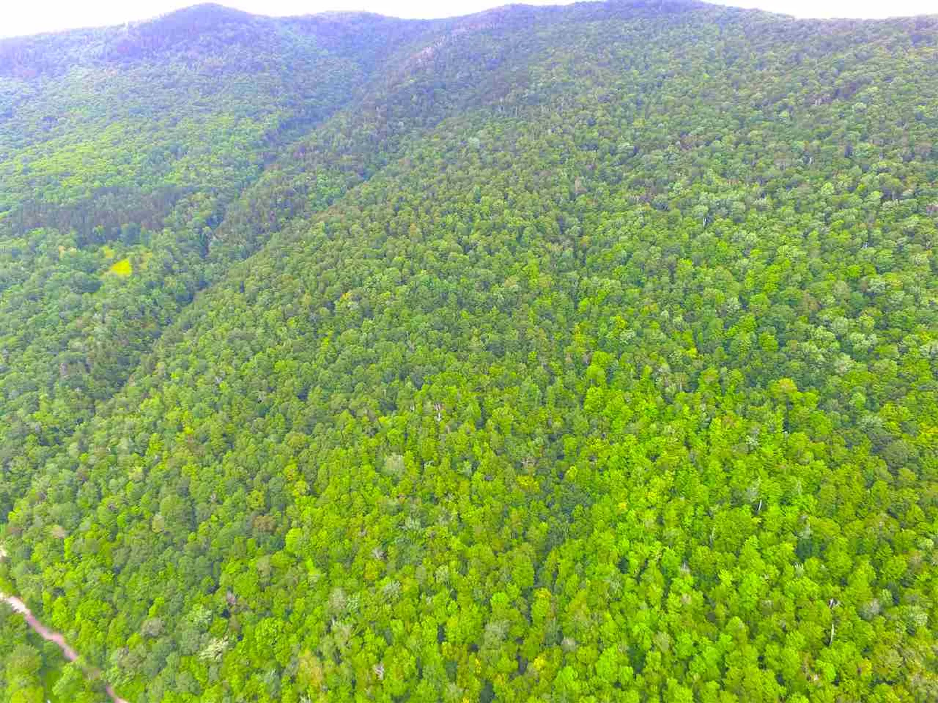 1231 River Road Killington VT 05751