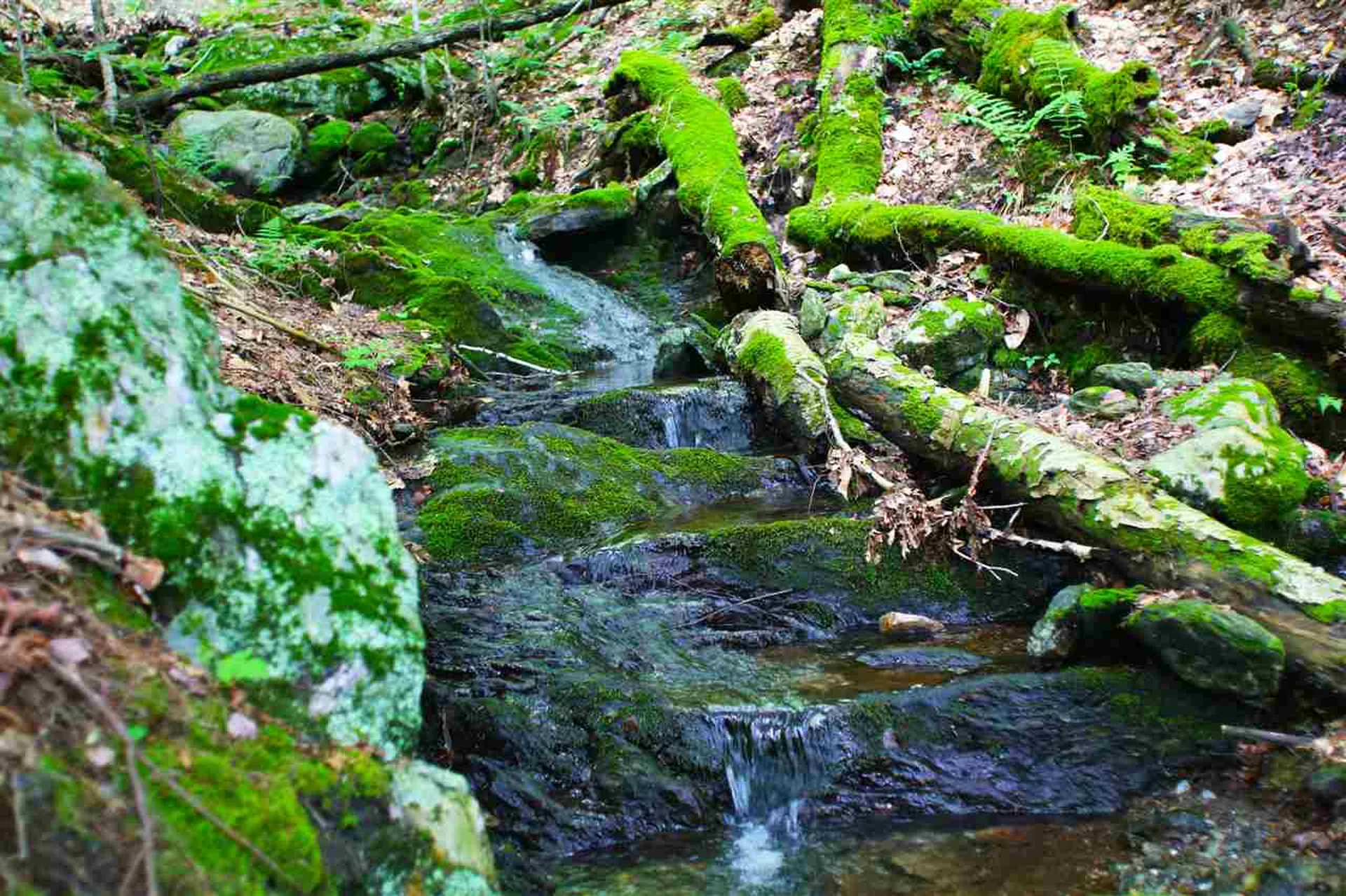 1231 River Road Killington VT 05751