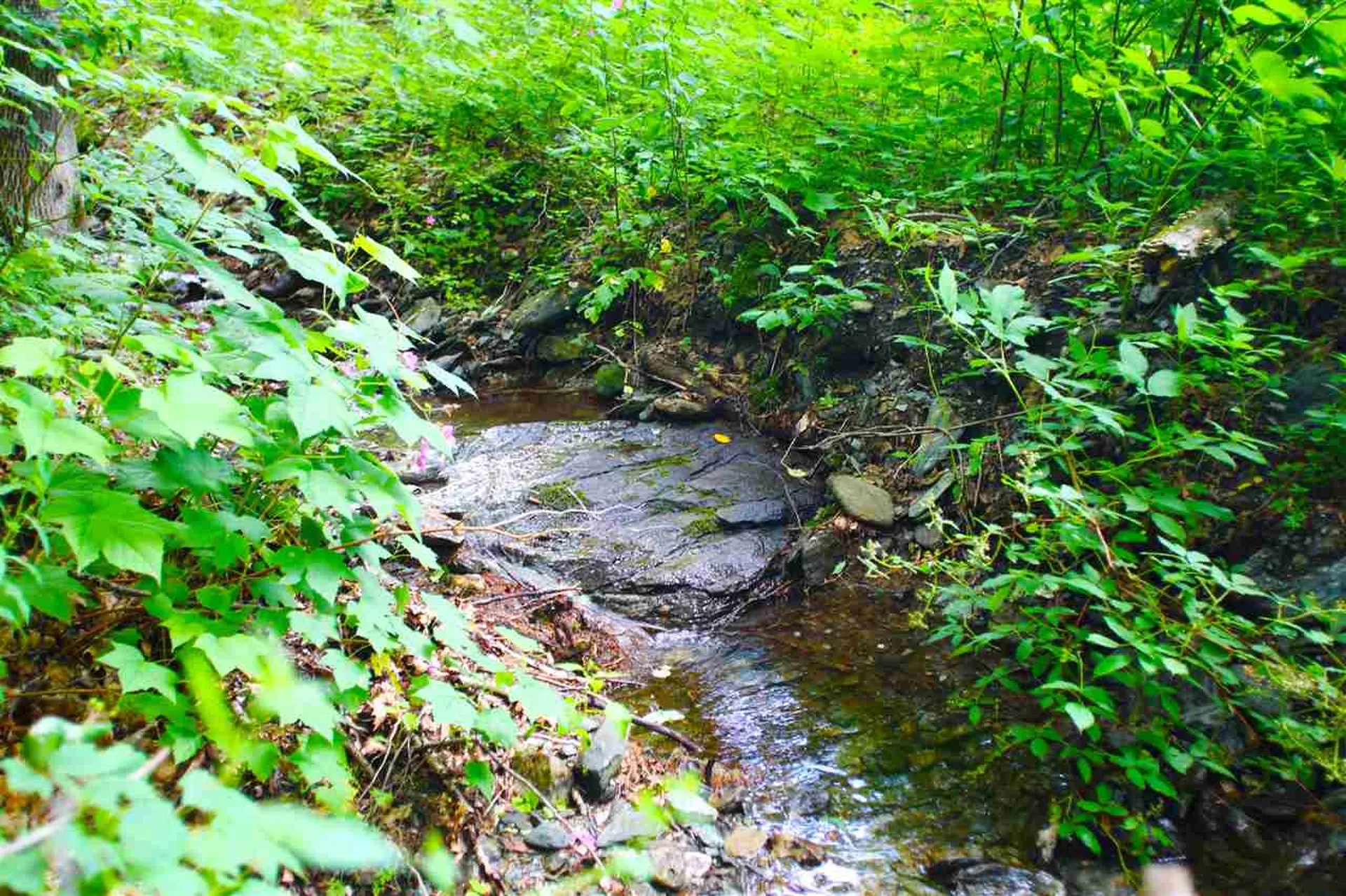1231 River Road Killington VT 05751