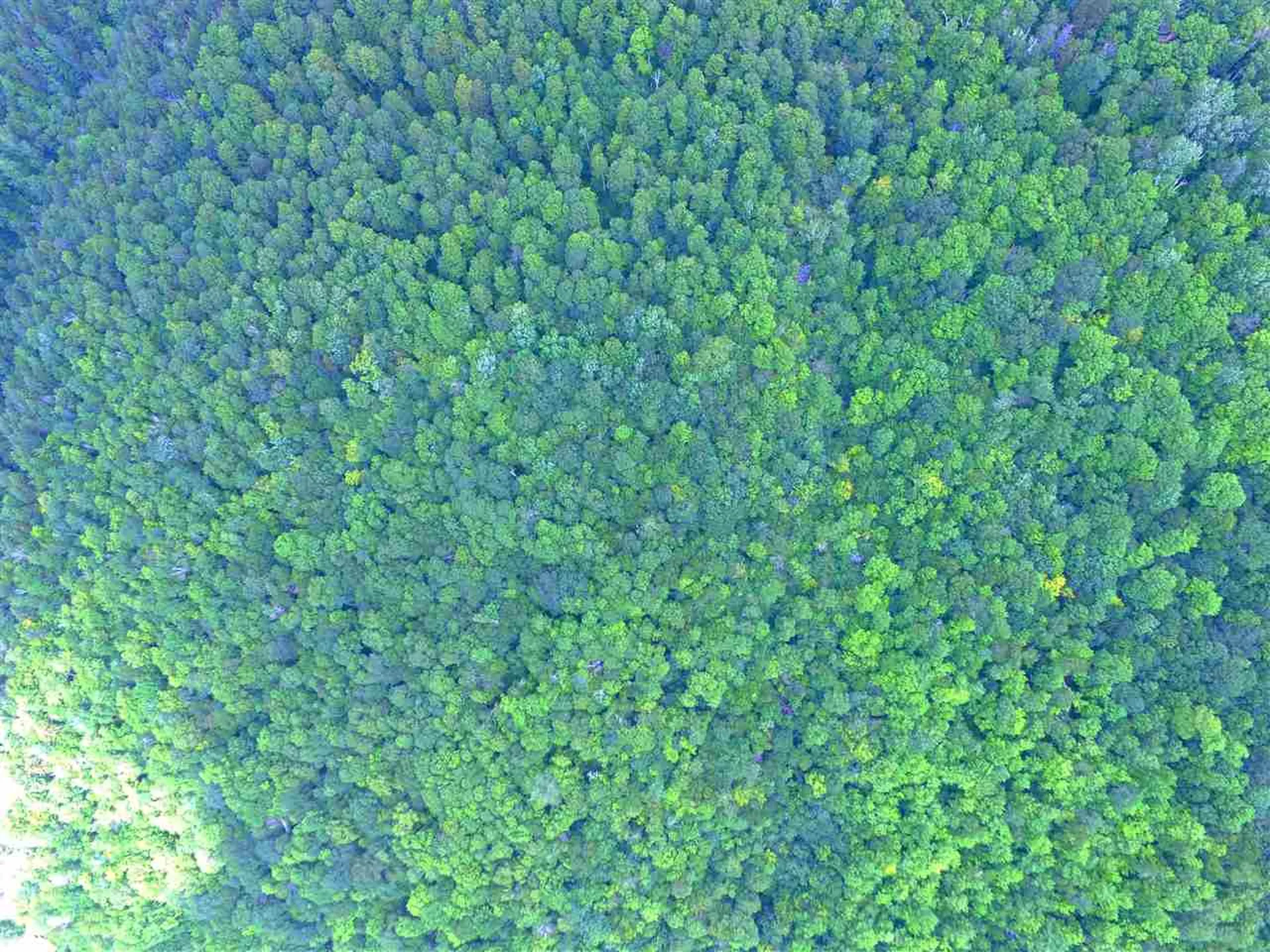 1231 River Road Killington VT 05751