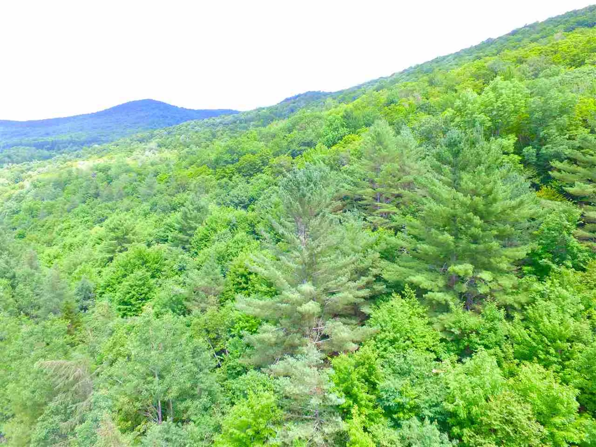 1231 River Road Killington VT 05751