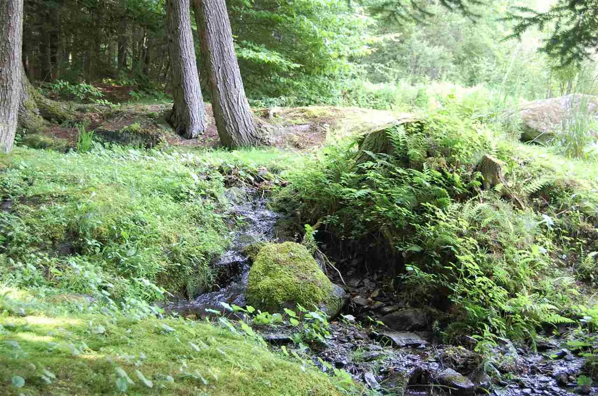 172 Stony Farm Road Fayston VT 05660