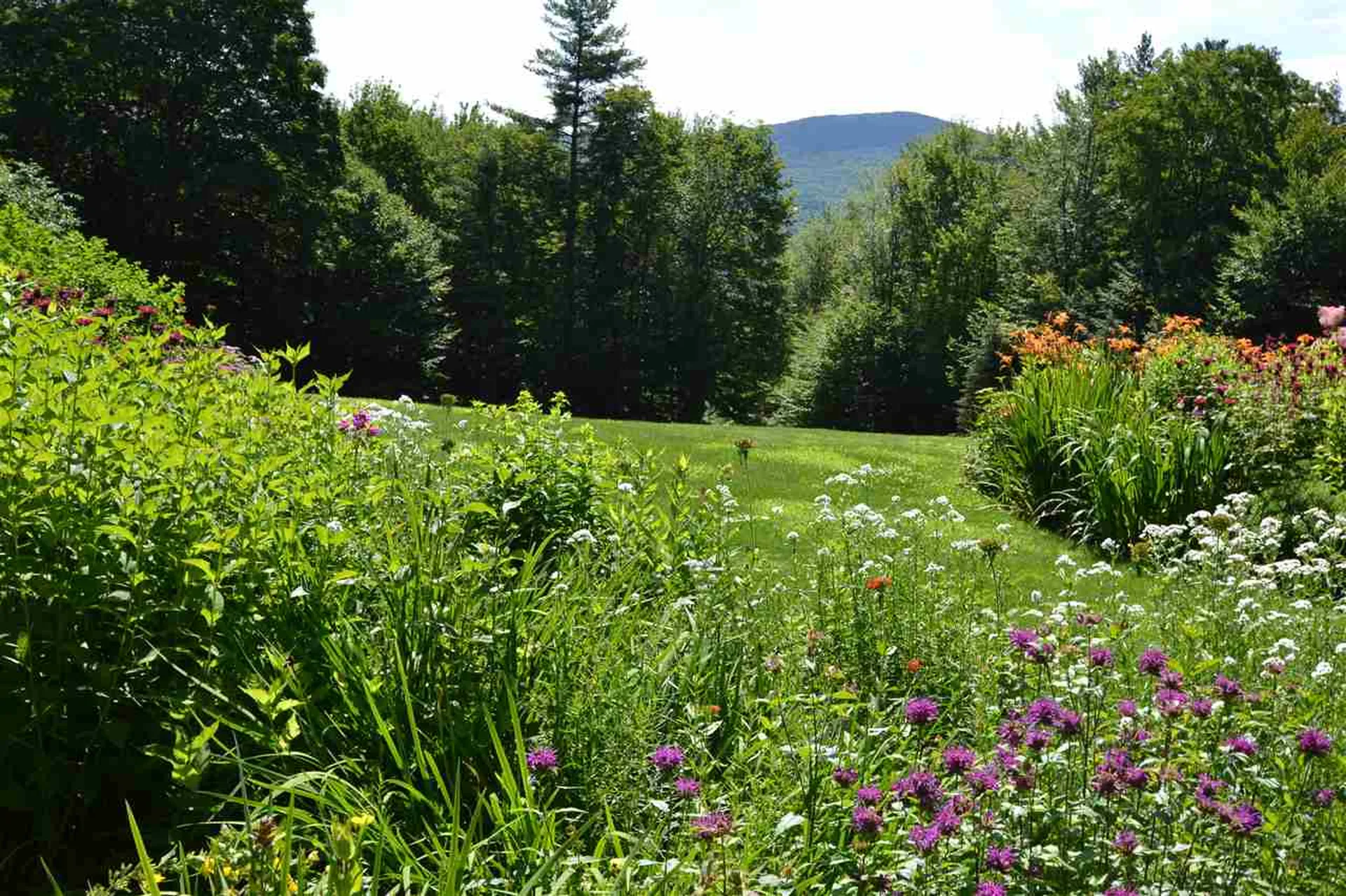 172 Stony Farm Road Fayston VT 05660