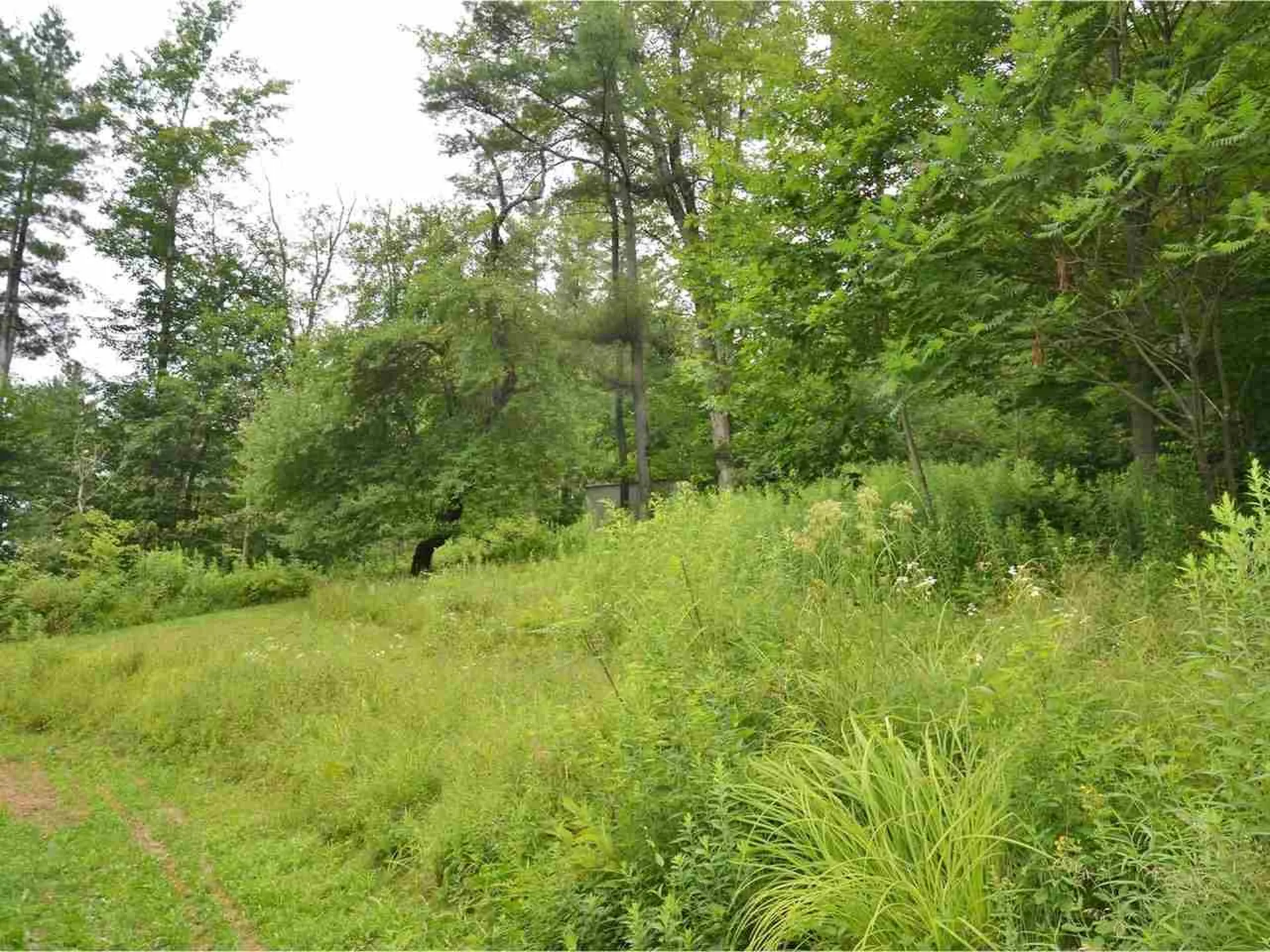 54 Megan Road Fairfax VT 05454