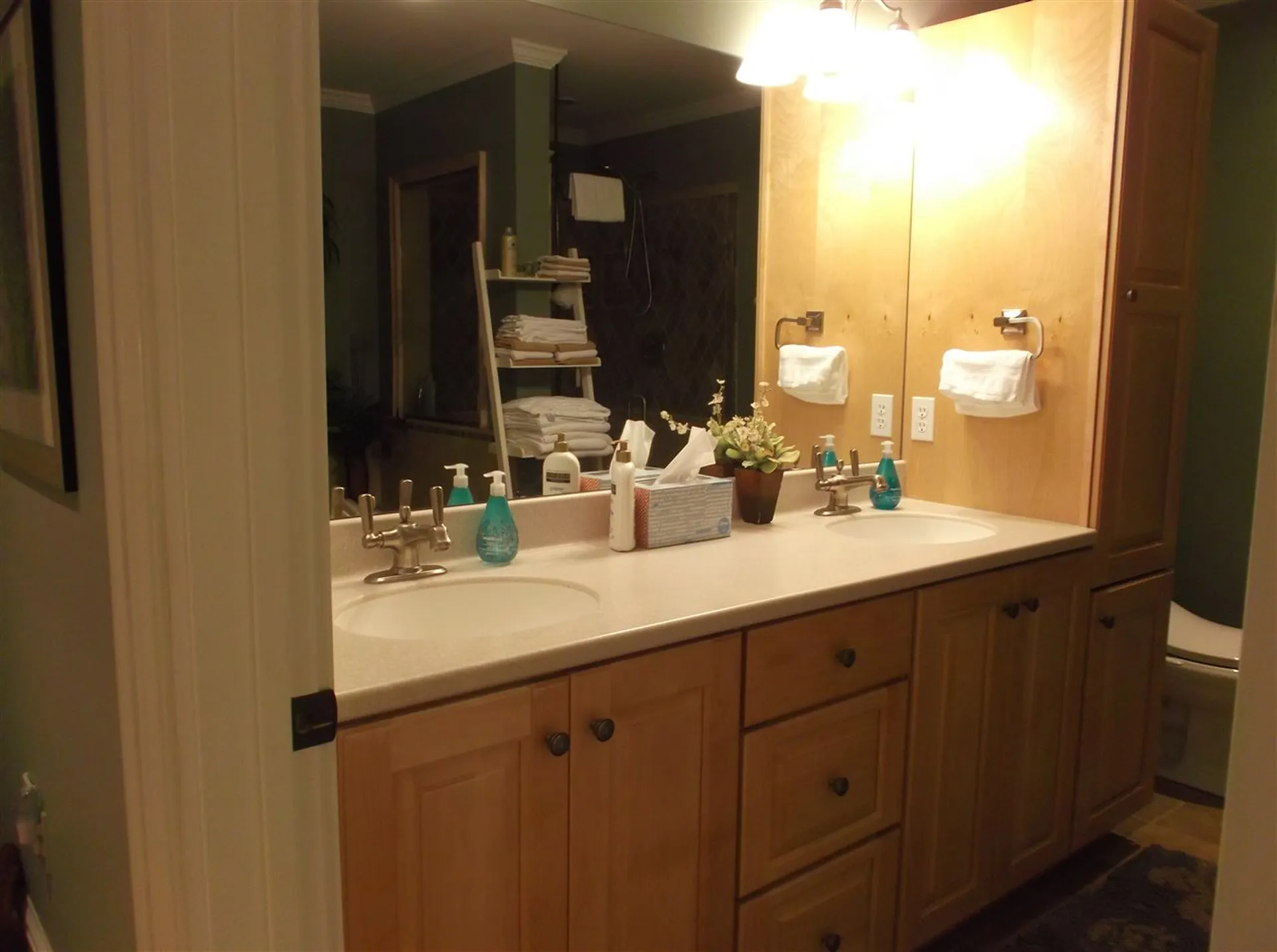 353 Morgan Drive Shelburne VT 05482