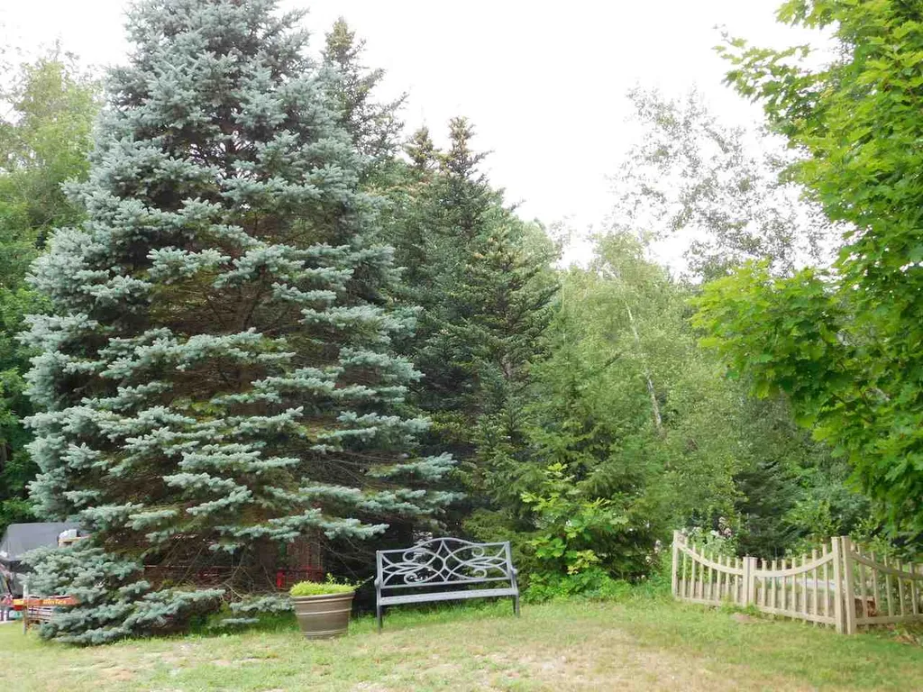89 Pine Hill Drive Sheldon VT 05483