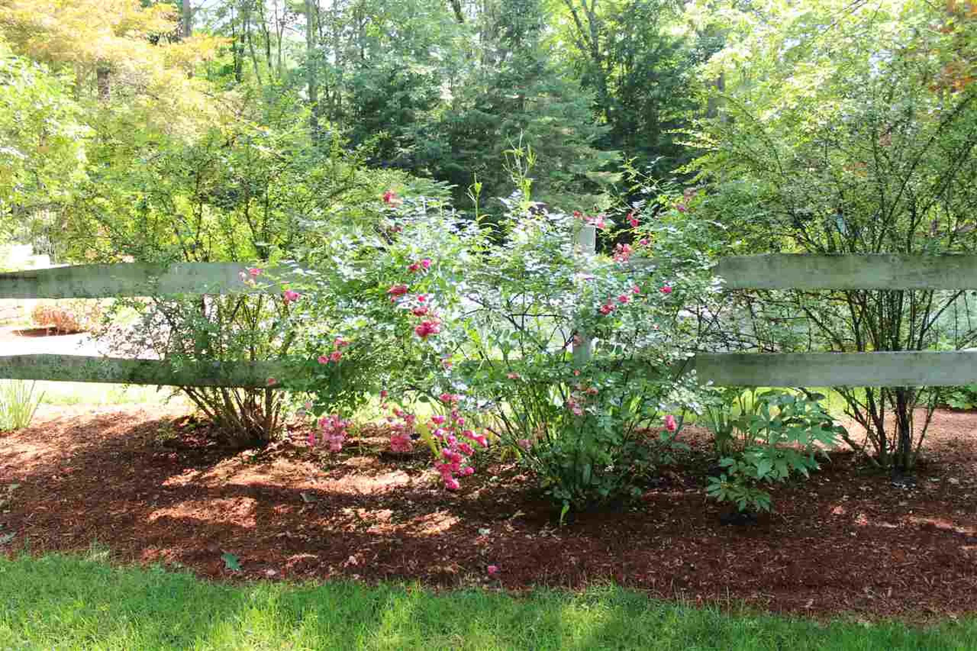 84 Wiswall Road Durham NH 03824