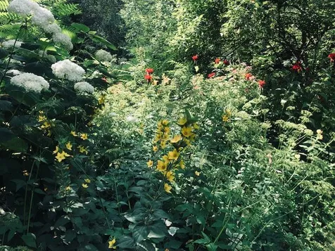 136 Ann Wilson Road Derby VT 05829