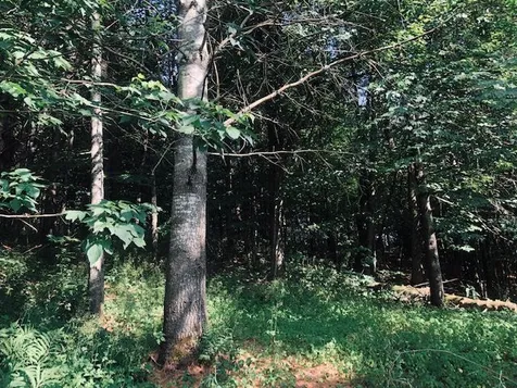 136 Ann Wilson Road Derby VT 05829