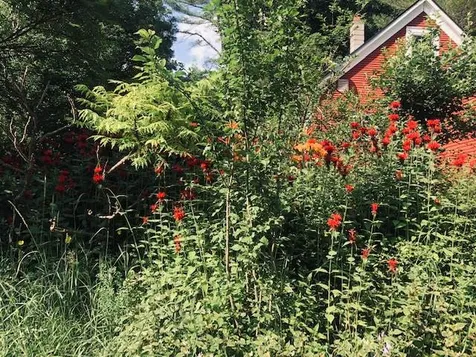 136 Ann Wilson Road Derby VT 05829
