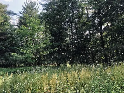 136 Ann Wilson Road Derby VT 05829