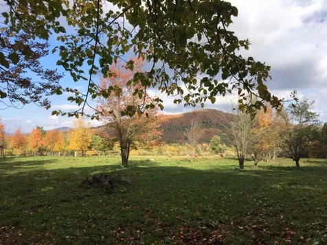 234 Creamery Bridge Road Montgomery VT 05470