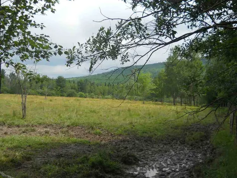 234 Creamery Bridge Road Montgomery VT 05470