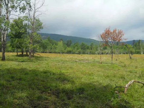 234 Creamery Bridge Road Montgomery VT 05470