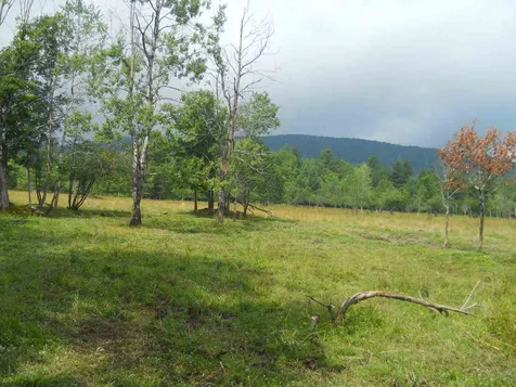 234 Creamery Bridge Road Montgomery VT 05470