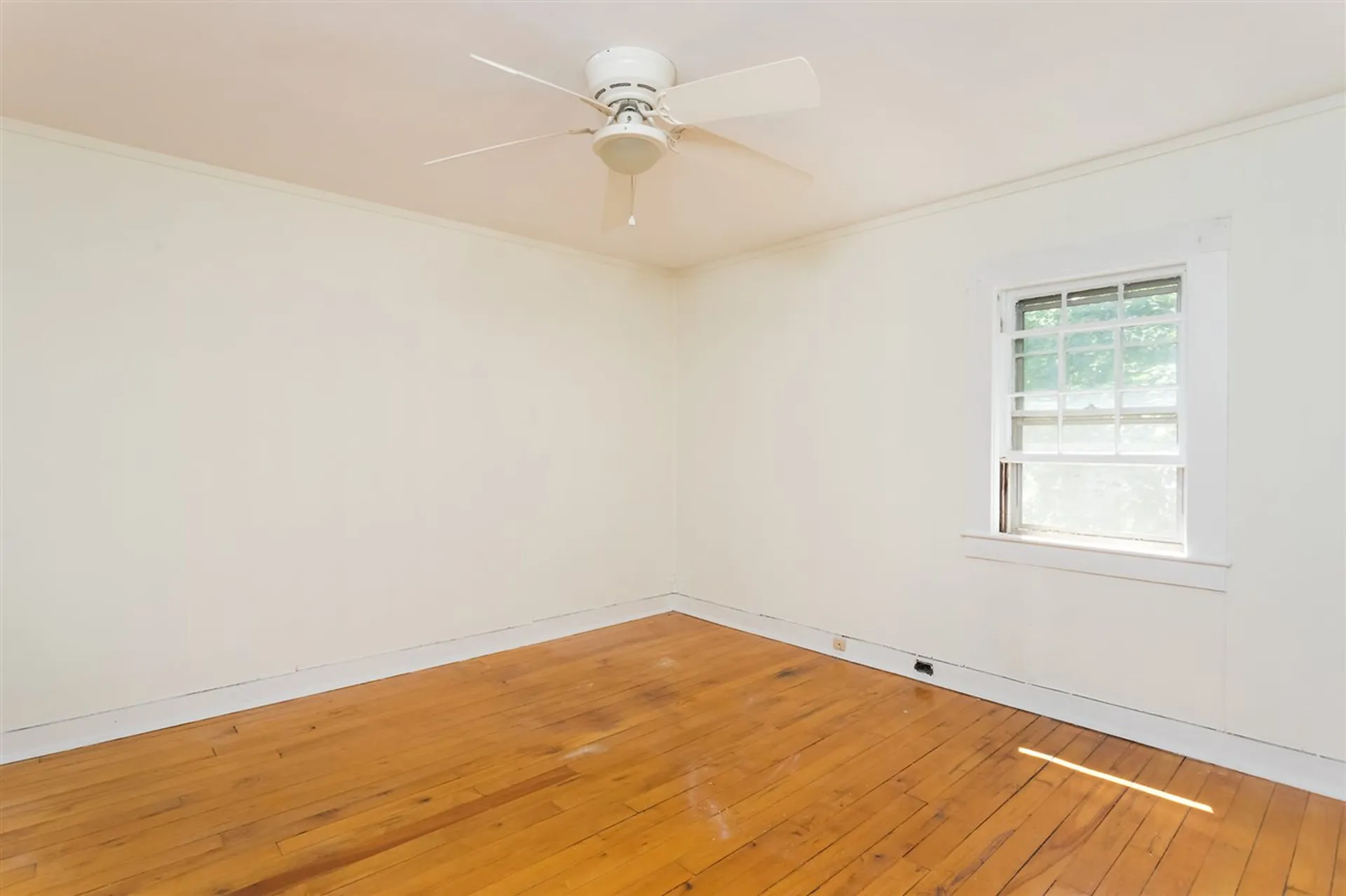 19 Cedar Street Newmarket NH 03857