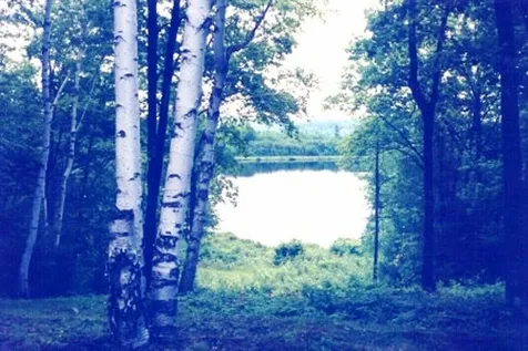 270 North Hidden Lake Road Stoddard NH 03464